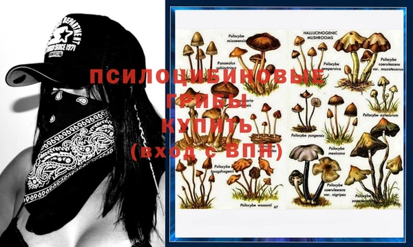 МДПВ Верхний Тагил