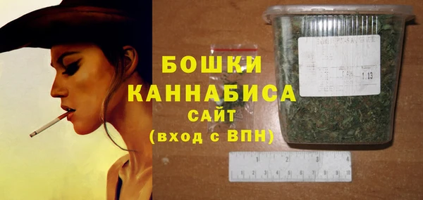 прущие грибы Бородино