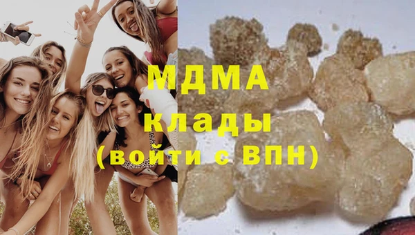 шишки Тайга