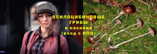сатива Володарск