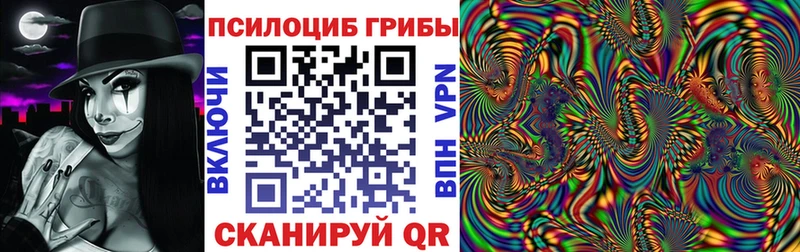 МЕГА ТОР  Ворсма  Галлюциногенные грибы Psilocybine cubensis 